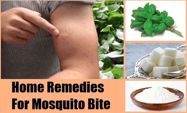 How To Get Rid Of Mosquito Bite Scars Fast Home Remedies