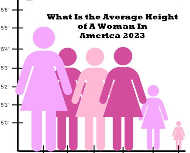 What Is the Average Height of A Woman In America 2024