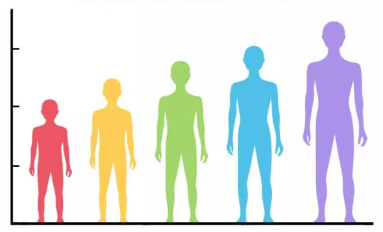 Mexican Average Height Male/Female